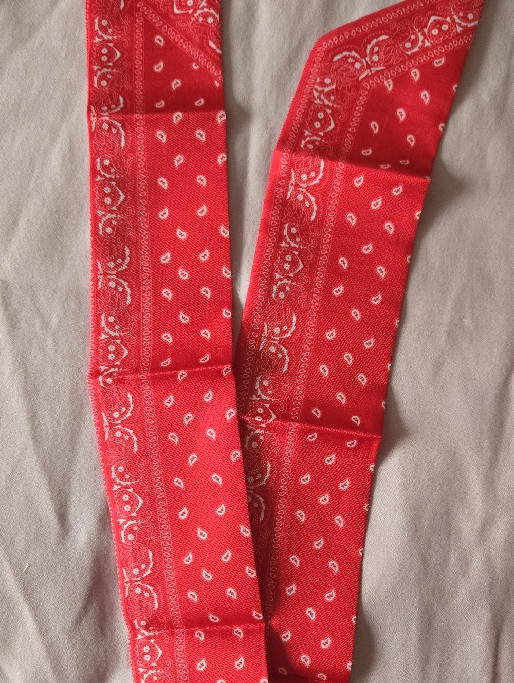 Red Paisley WESTERN Bandana-Print Women’s Bag Twillies, 2, Wild Rag  Accessory